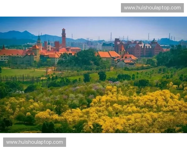 燃情绿茵法国世界杯激情碰撞梦想的旋律盛宴